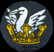 The Petts family Crest